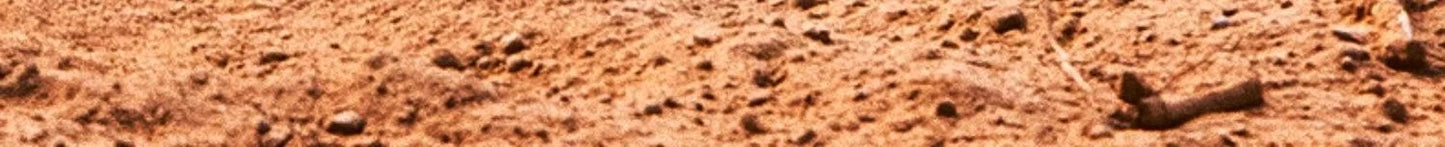 1:14 RC 4x4 Off-Road Monster Truck High-Speed Toy